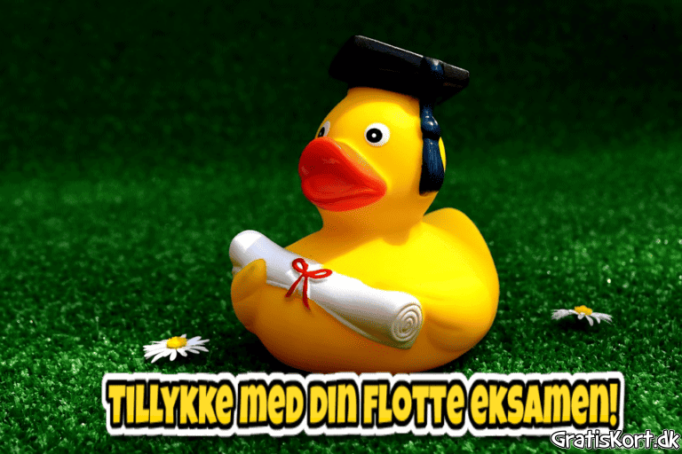 Eksamen GratisKort dk eksamen-gratiskort-dk